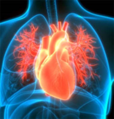 Pro-Active Health Scans